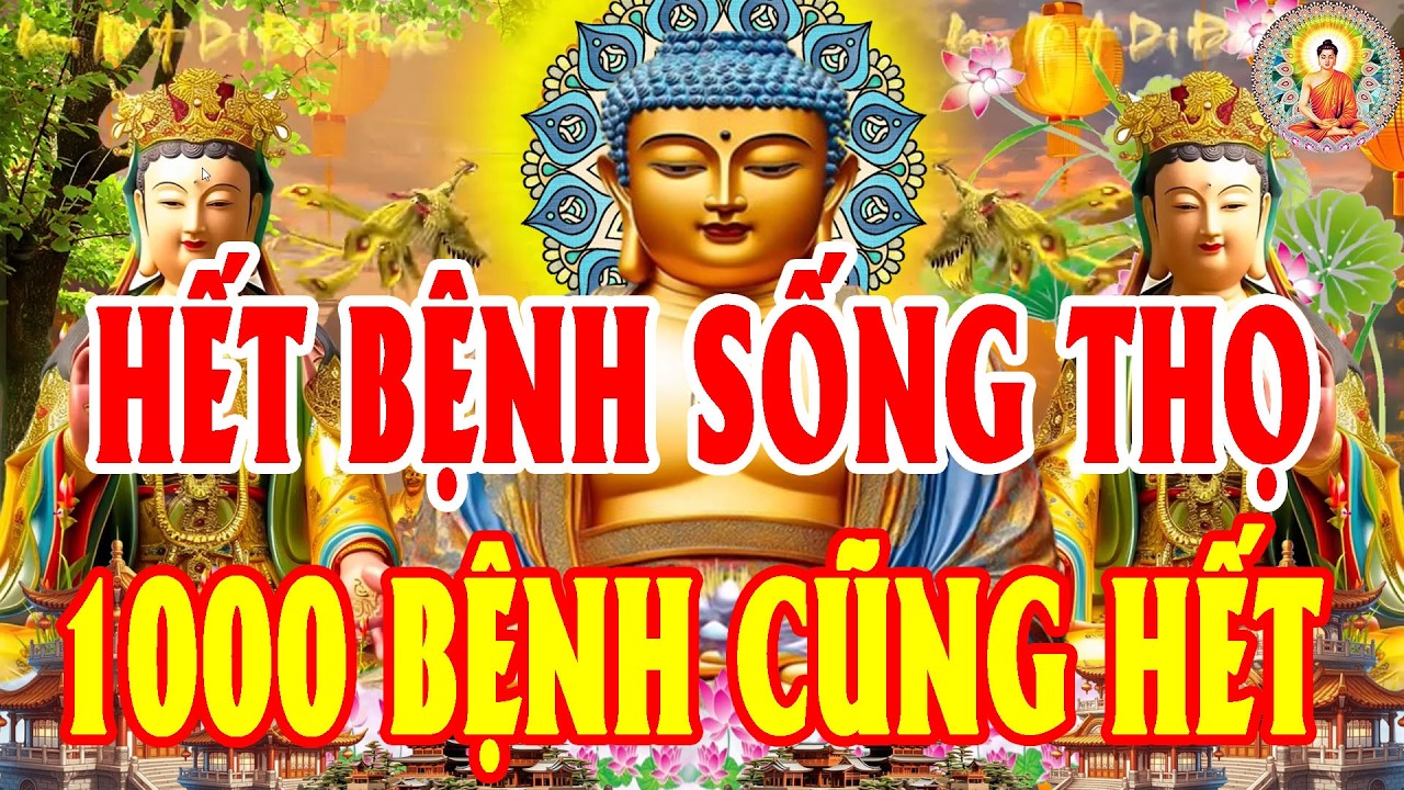 Chỉ 15 Phút Nghe Tụng Kinh Cầu An Sám Hối Quan Âm Cứu Khổ Cứu Nạn Bệnh Tật Tiêu Tan Tài Lộc Tự Đến