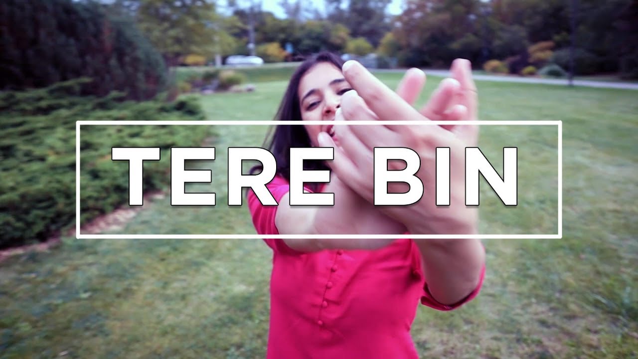 Tere Bin | Simmba | Dance by Niketa Sidhu