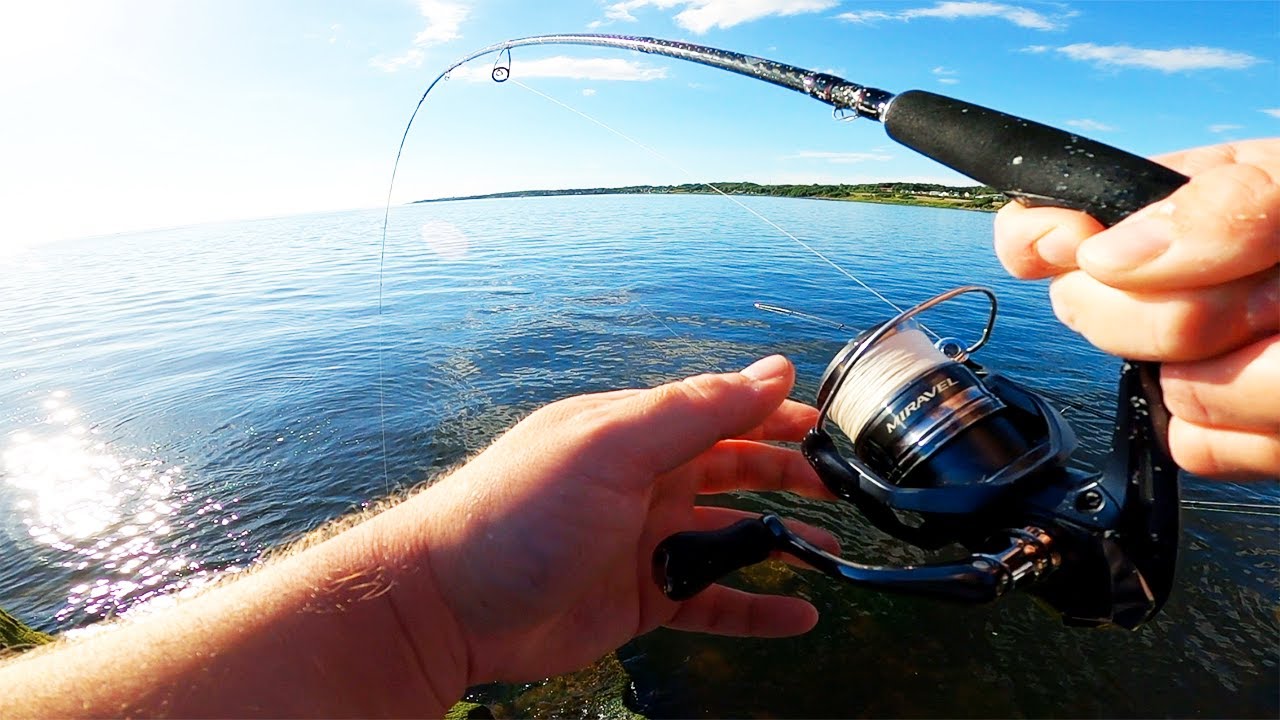 SPINNFISKE efter MAKRILL - Fiska med Kalle #5