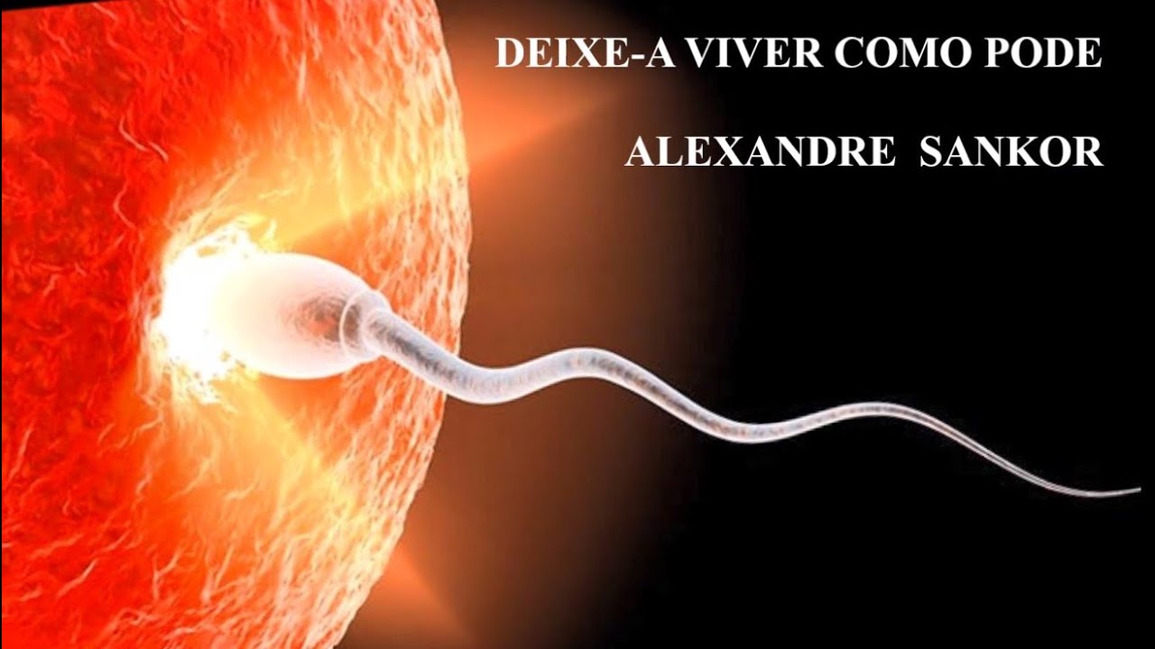 Deixe a Viver Como Pode  Alexandre Sankor #espiritismo #kardecismo #arteespirita #simavida