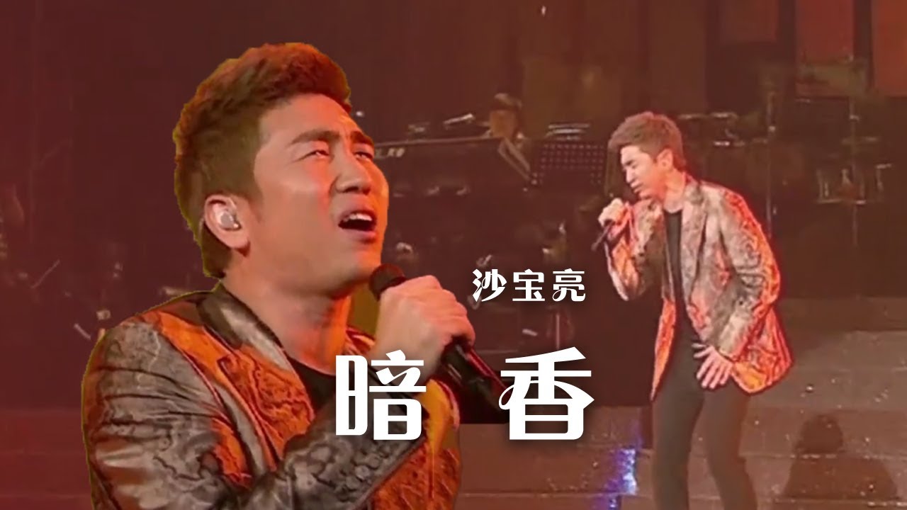 沙宝亮《暗香》凄美忧伤 唤起沉寂的经典！[精选中文好歌] | 中国音乐电视 Music TV