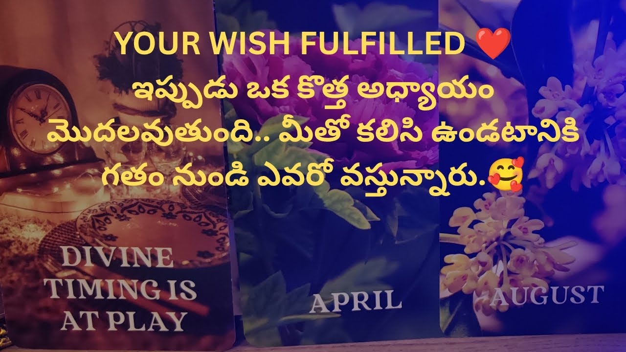ఇప్పుడు  కొత్త అధ్యాయం మొదలవుతుంది❤️ మీ pగతం నుండి ఎవరో వస్తున్నారు❤️ tarot reading 9948424222