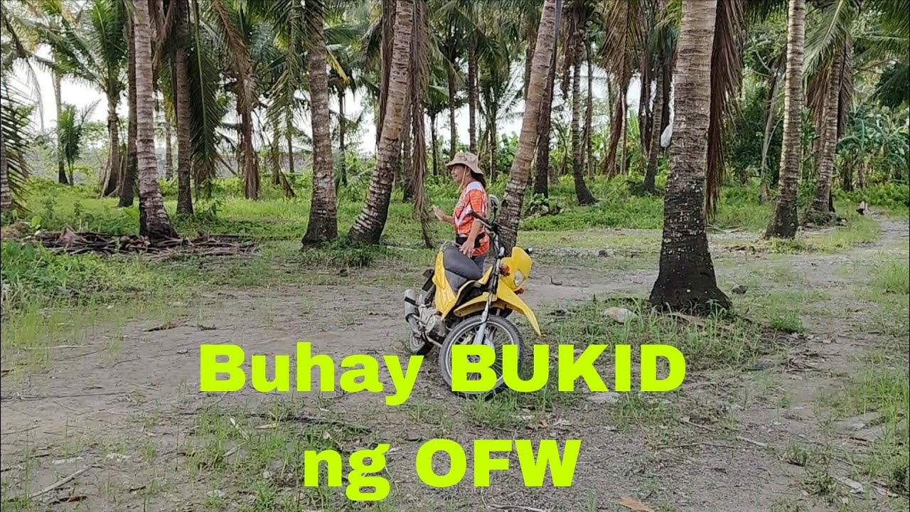 Nag Simula na ng unang FERTILIZER sa PALAYAN s TANO