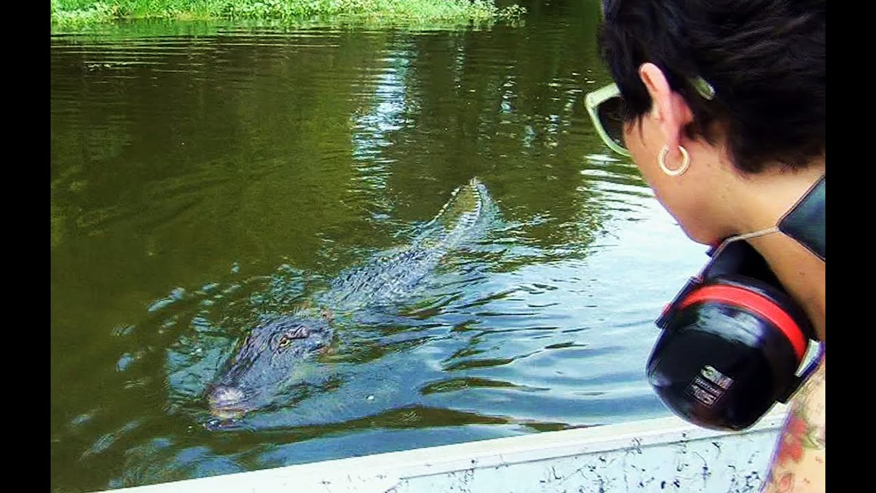 Airboat Ride on The Atchafalaya Basin