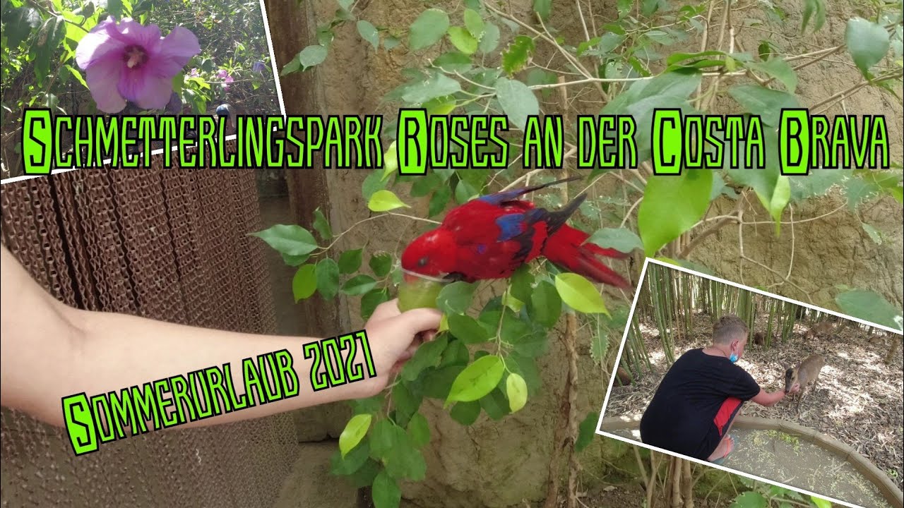 Butterfly-Park | Roses | Costa Brava | Sommerurlaub 2021