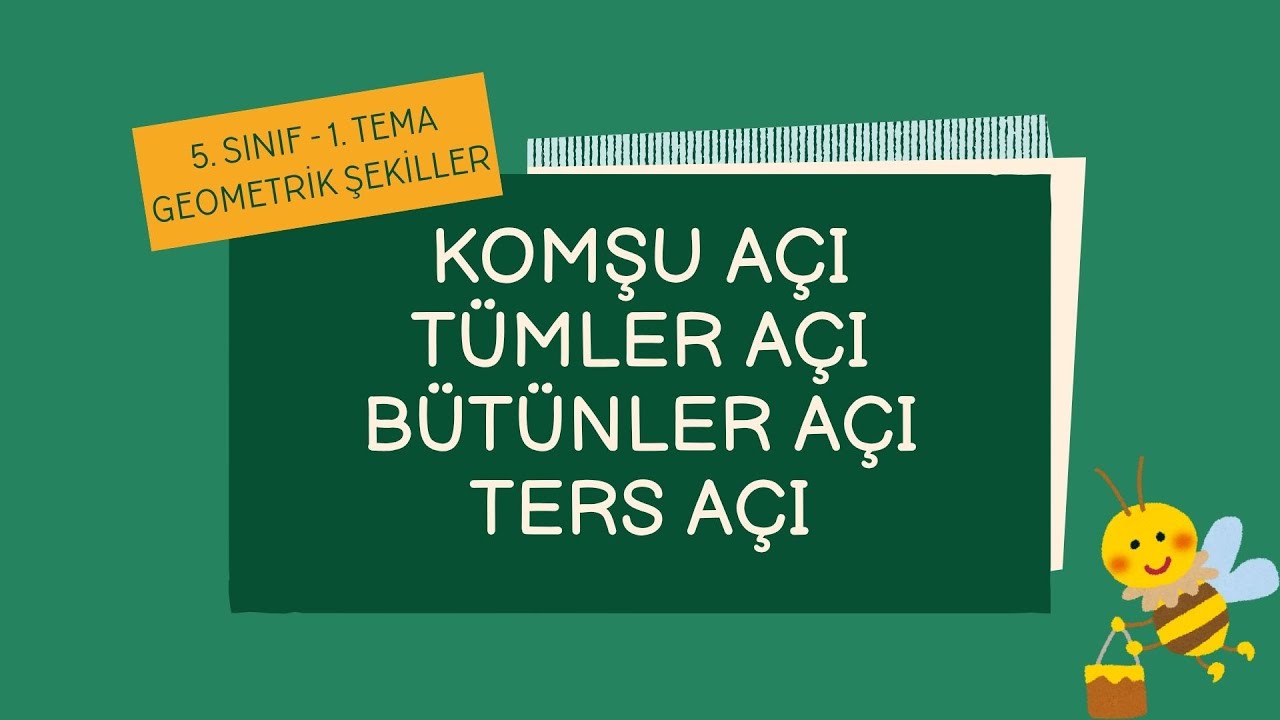 17. Komşu, Tümler, Bütünler ve Ters Açılar - 5. Sınıf - Matematik - Geometrik Şekiller