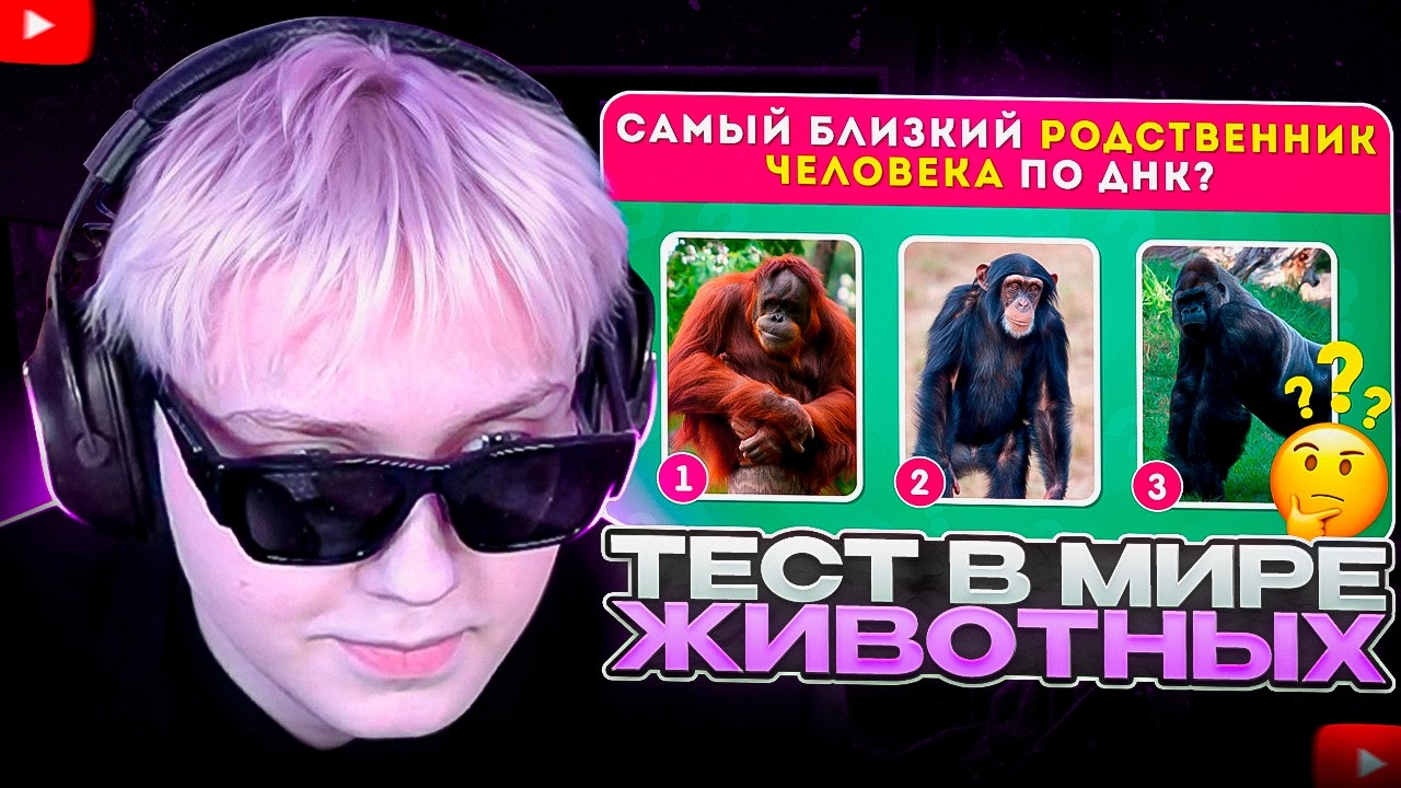 ДРЕЙК СМОТРИТ - Тест в мире животных / 35 вопросов о животных / EMOJI COOL 😎
