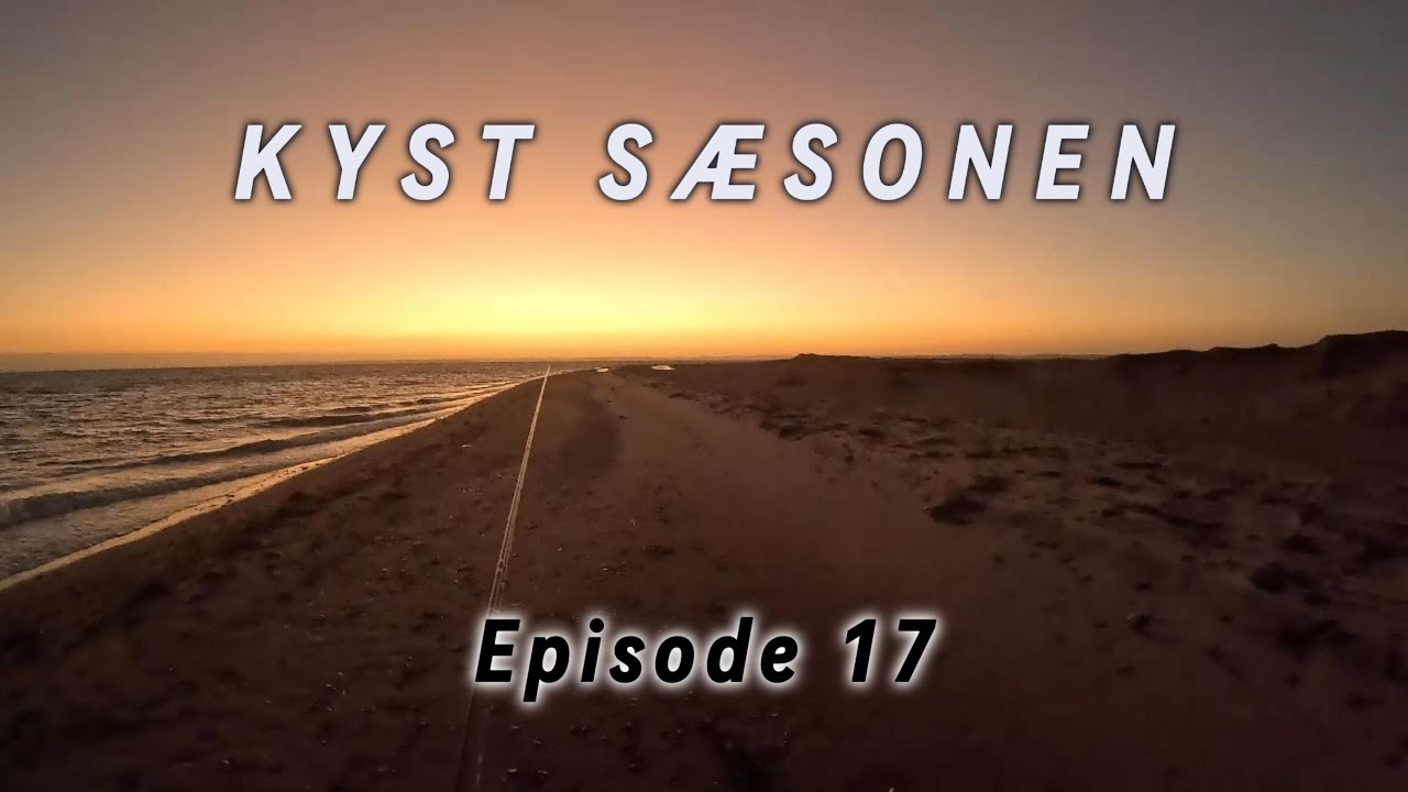 Kystfluefiskeri efter Hav&oslash;rred - Coastalflyfishing for Seatrout - Episode 17