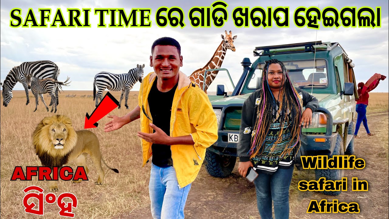 ଝିଅ ଡ୍ରାଇଭର ସାଥୀରେ WILDLIFE SAFARI || ମୁଁ ବହୁତ ପଶୁ ଏବଂ ପକ୍ଷୀ କୁ ଦେଖିଲି