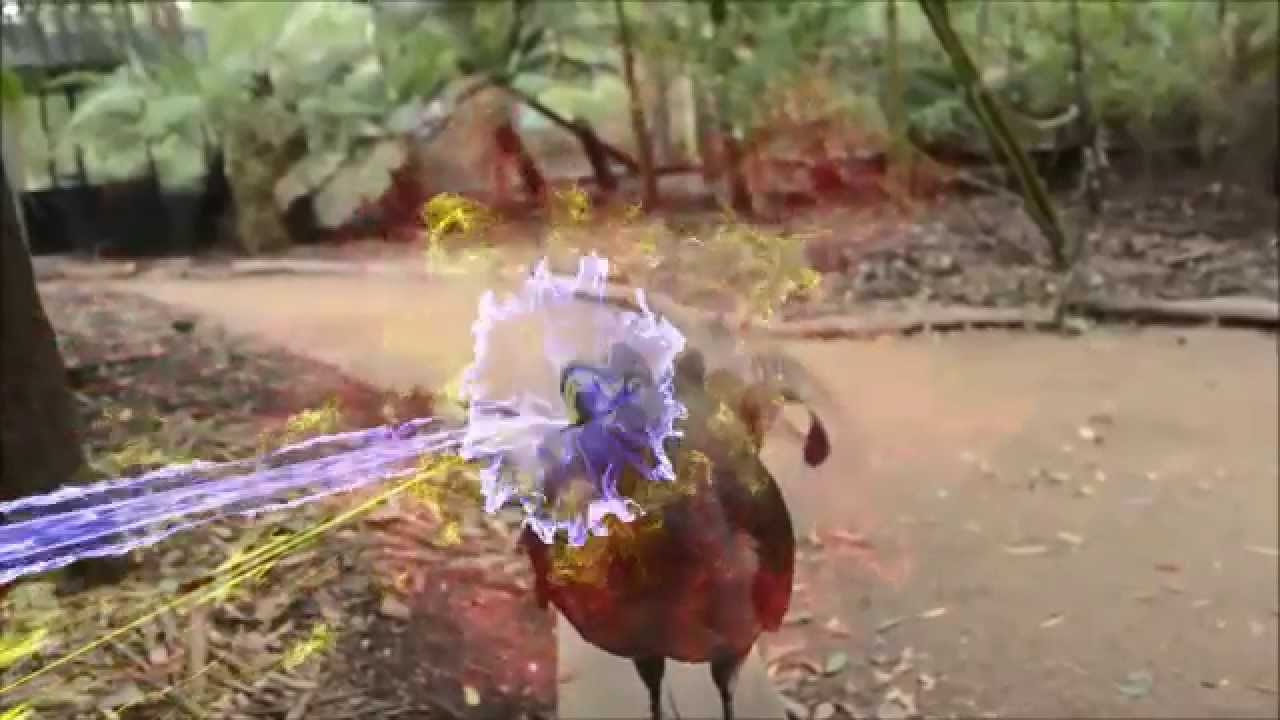 Laser Bird
