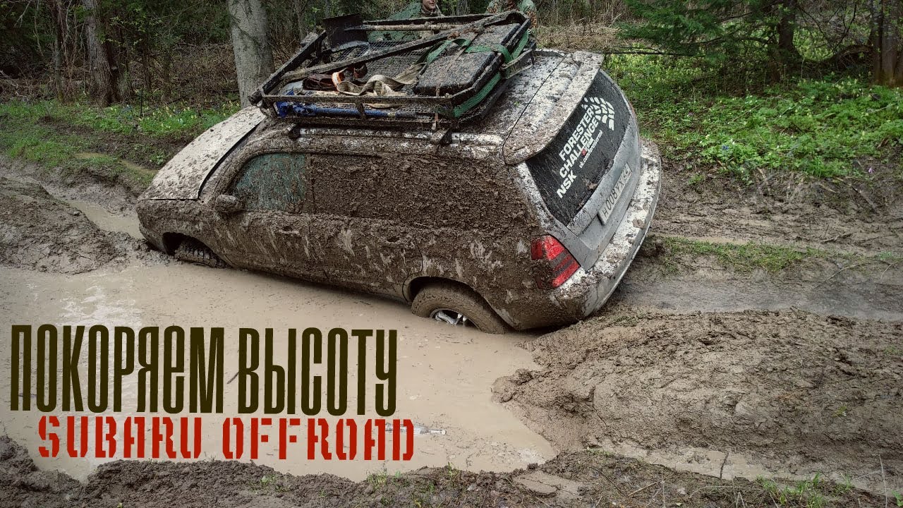 Два дня в лесу. Покоряем самую высокую точку области. Subaru приключение. Пихтач 2020