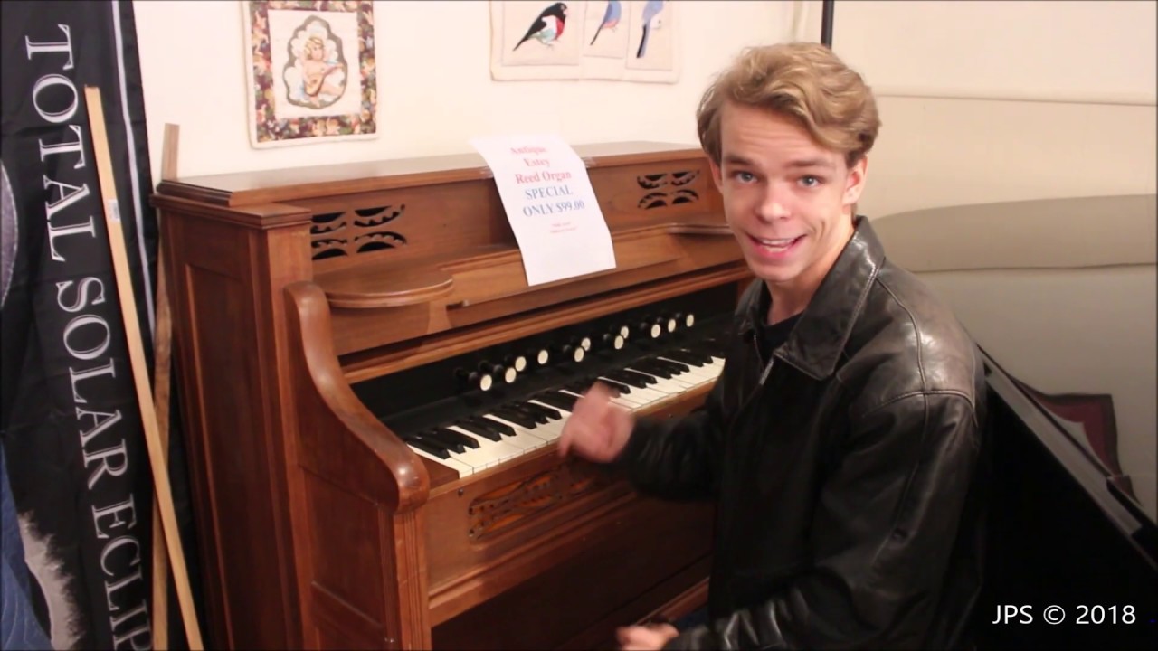 1890 Estey Pump Organ for under 100 dollars: Cheap deals