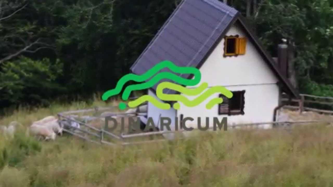 Dinaricum - Pastirstvo za bolj&scaron;e sobivanje človeka in medveda v Alpah