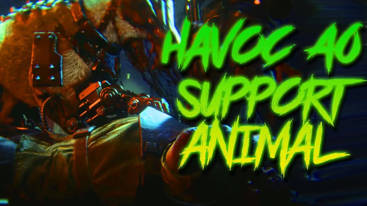 Havoc 40 Enemies FEAR My Dog - Darktide Build Guide