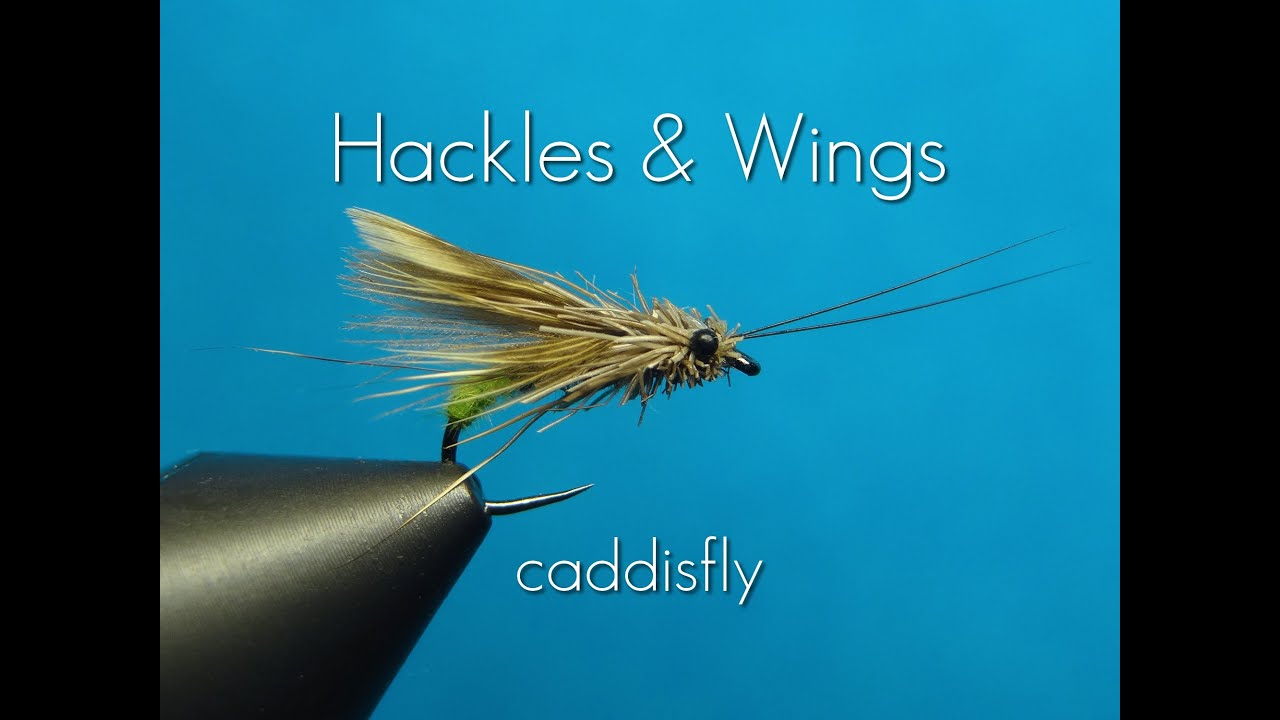 Fly Tying Caddisfly | Hackles & Wings