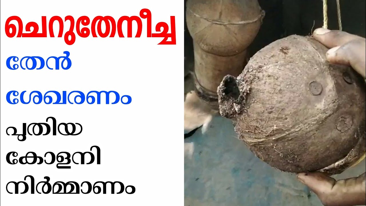 ചെറുതേൻ കോളനി നിർമ്മിക്കാം, തേനെടുക്കാം, stainless bee colony and honey.