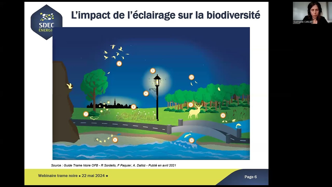 REPLAY 22/05/24 | Webinaire Trame noire du Calvados : vers une gestion différenciée de l'éclairage