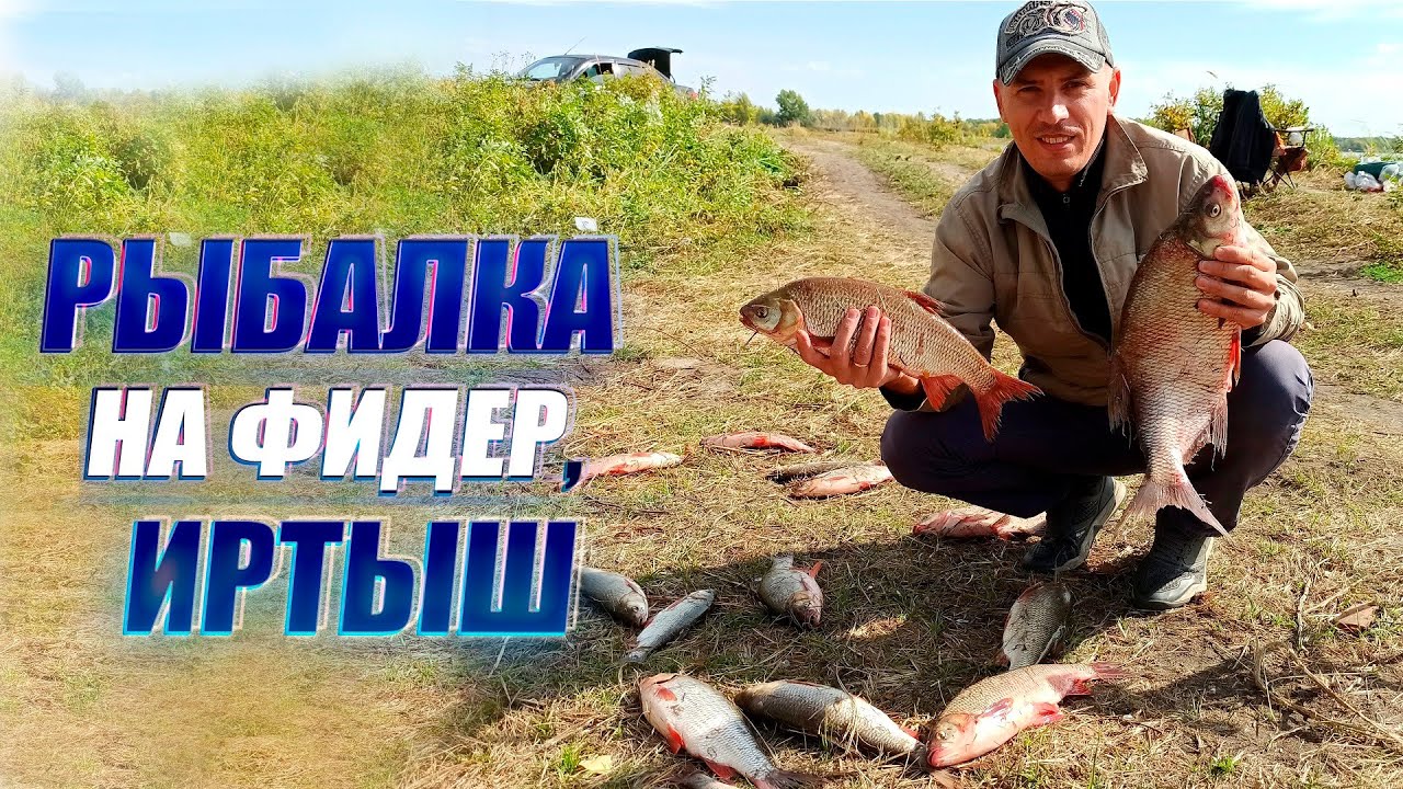 Осенняя рыбалка на фидер, река Иртыш #Рыбалка #Иртыш #Фидер