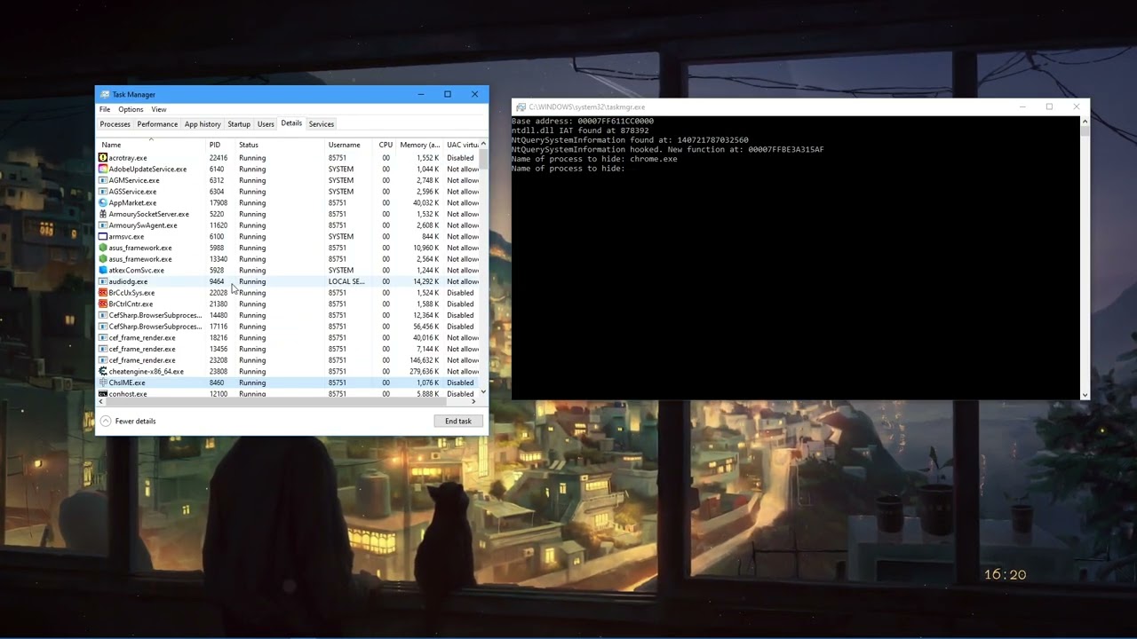 Hiding process/programs from Windows Task Manager