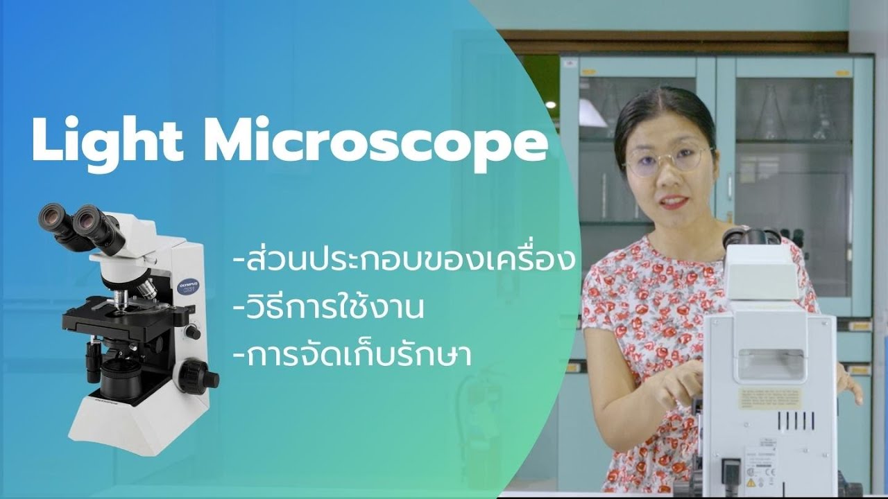 การใช้กล้องจุลทรรศน์ Light microscope