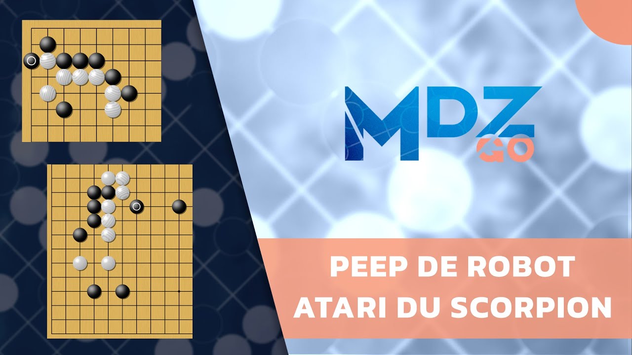 Techniques de combat de l'intelligence artificielle  |  Jeu de Go