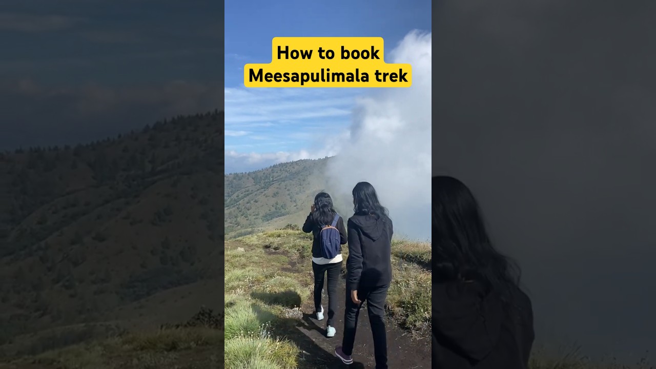 Meesapulimala Trek - How to book details #meesapulimala #trekking #munnar #kerala