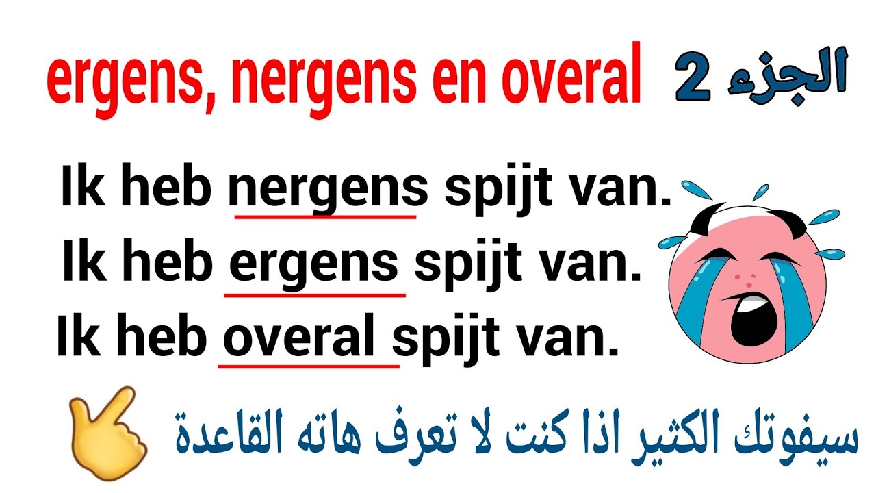 nergens, ergens en overal في اللغة الهولندية