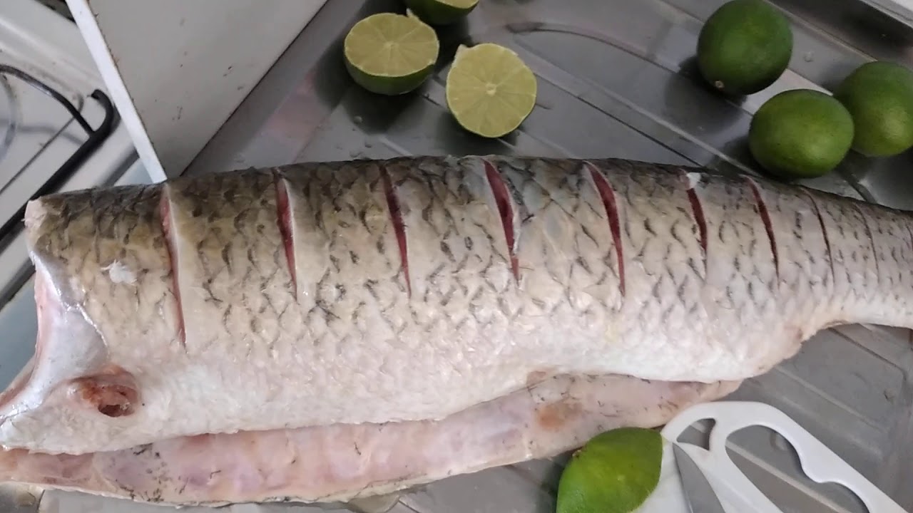 Carpa capim na churrasqueira
