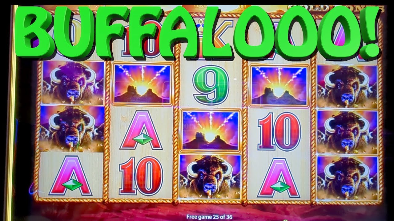 SOME CALL IT BUFFALO GOLD I'M GOING TO CALL IT BUFFALO JACKPOT