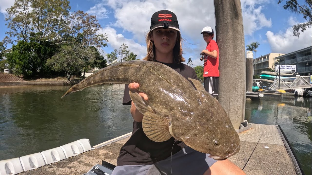 Noosa and Maroochy River Fishing - Trevally and Big Flathead