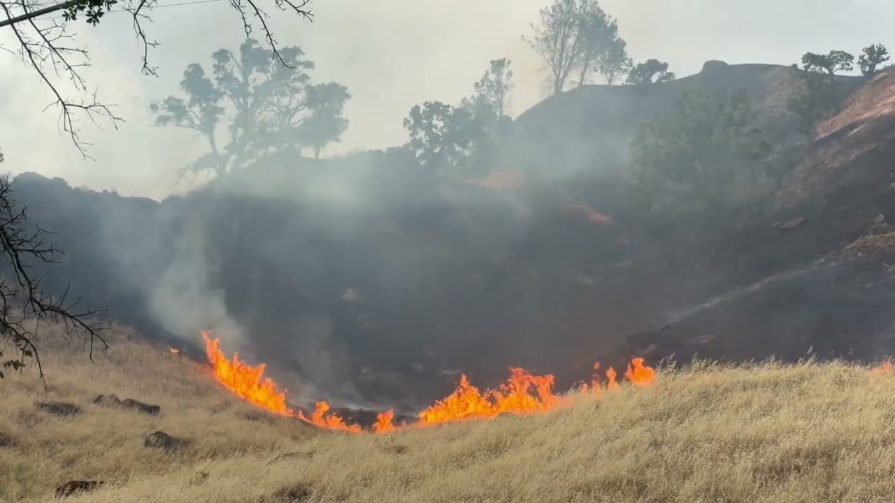Scenes from the Putah Fire in Northern California