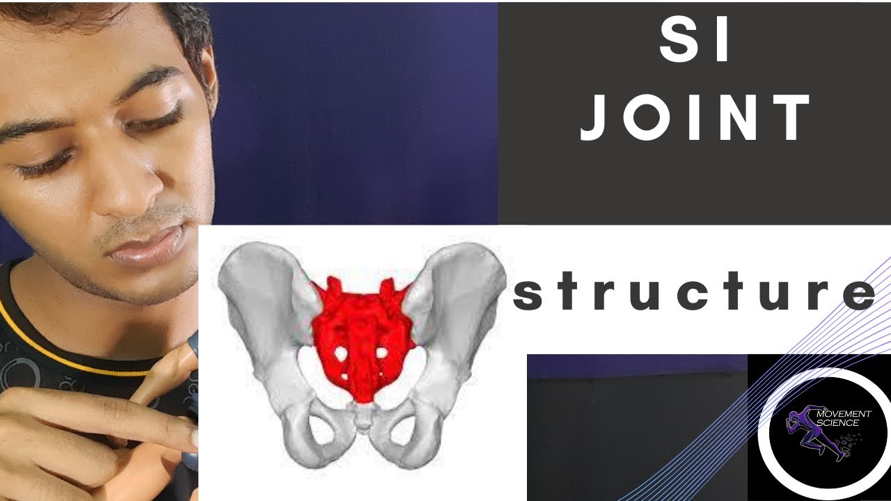 SI JOINT STRUCTURE (BIOMECHANICS OF SPINE)Physiotherapy Tutorial