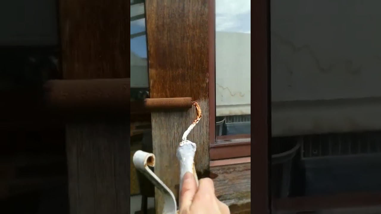Lasure pour bois