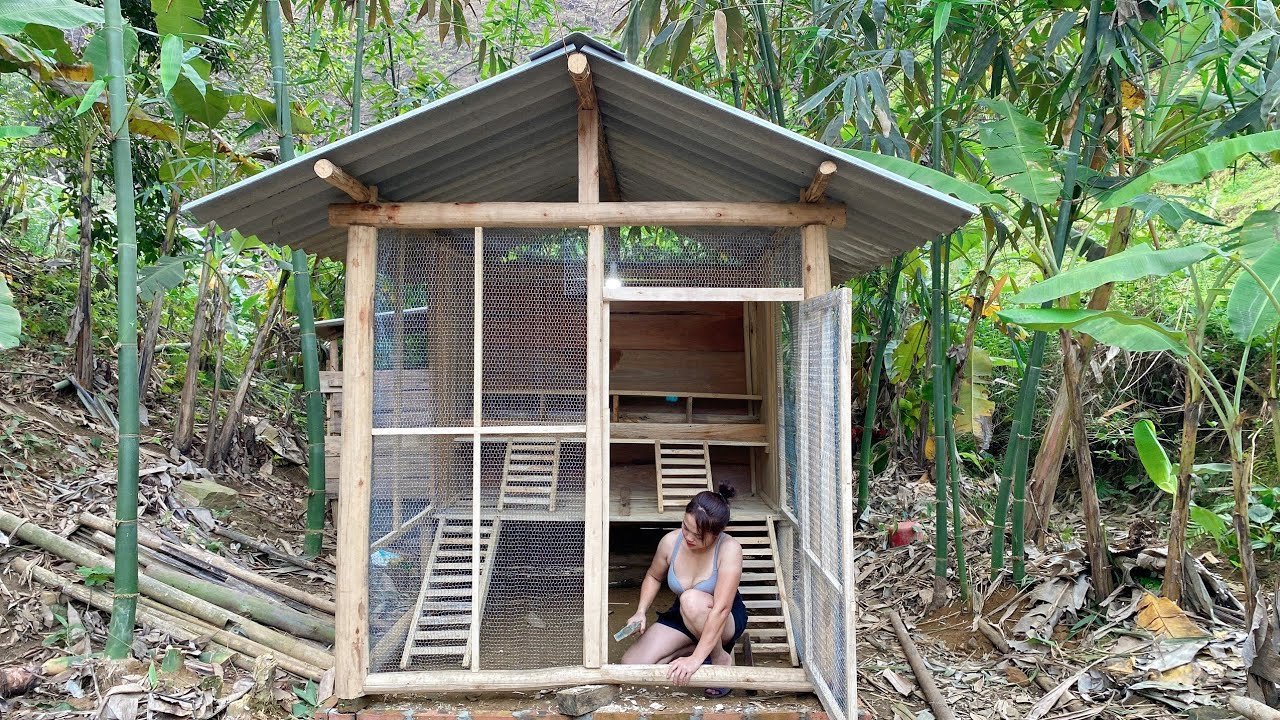 Build a Wooden Chicken Coop - part 3 | Lan Lan Farm