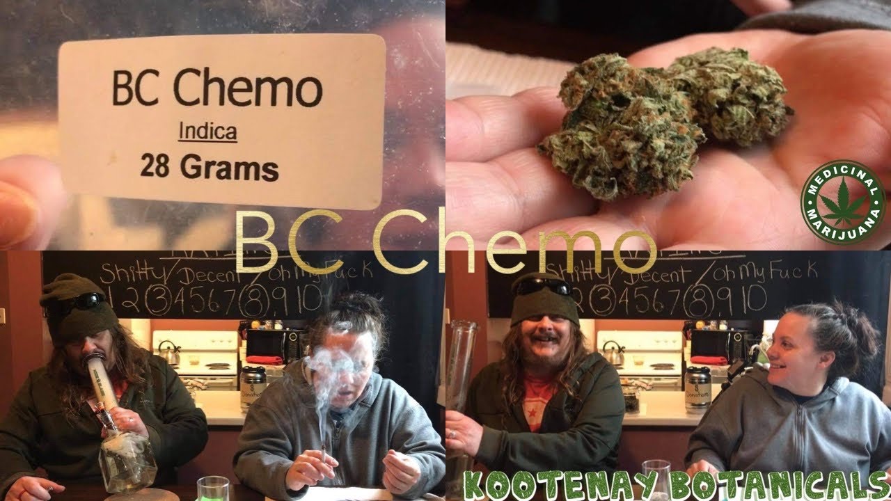 Cigrit & Donna Review &ldquo;BC Chemo&rdquo; (Medical Marijuana) From Kootenay Botanicals