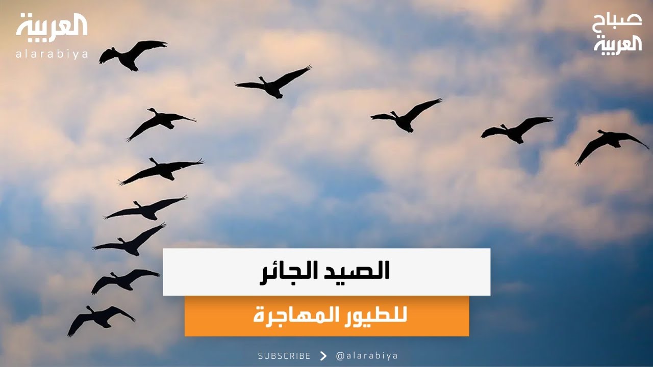الصيد الجائر للطيور المهاجرة