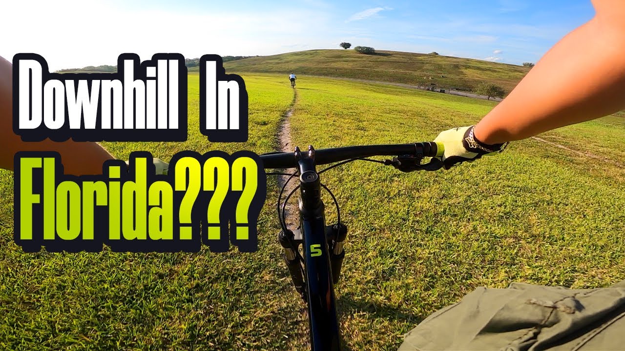 Vista view park ride | 2021 Trek Marlin 5