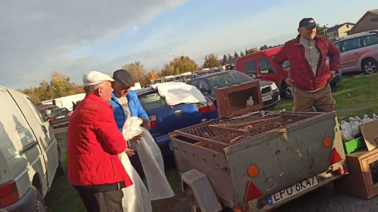 TARG ZWOLEŃ. 16.10.2022