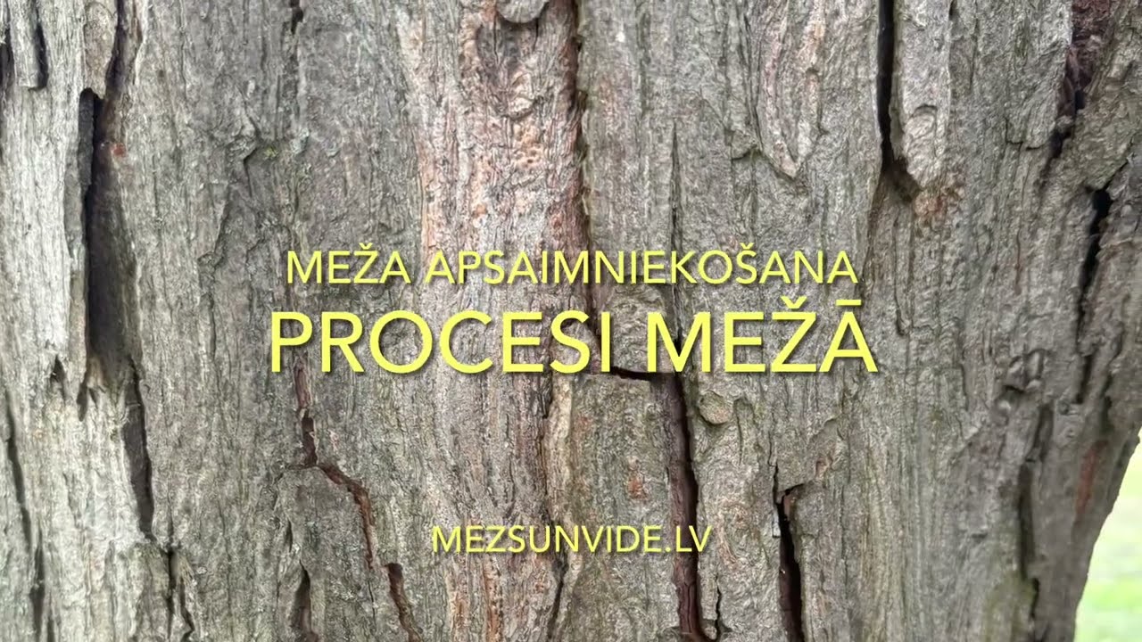 Procesi mežā un apsaimniekošana