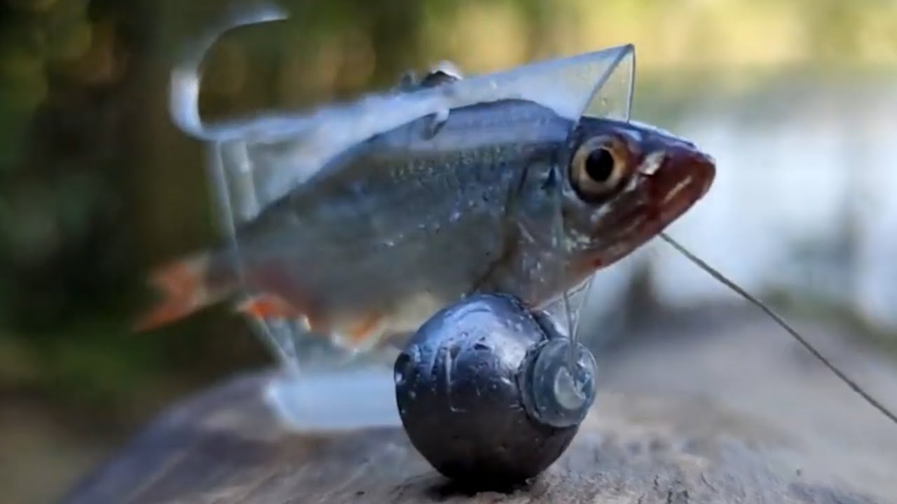 Fish CAN'T Resist This Weird Gadget !!!!