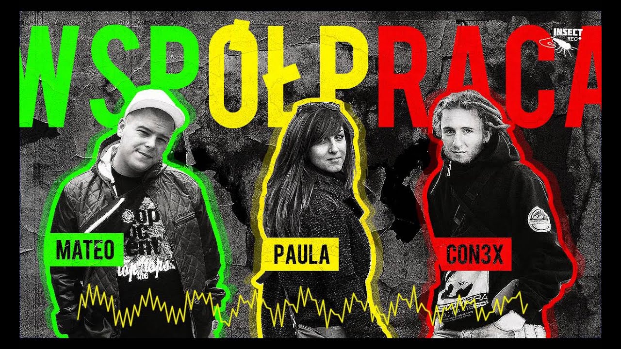 INSECT(con3x,Mateo) feat. Paula - Współpraca (Singiel 2014)