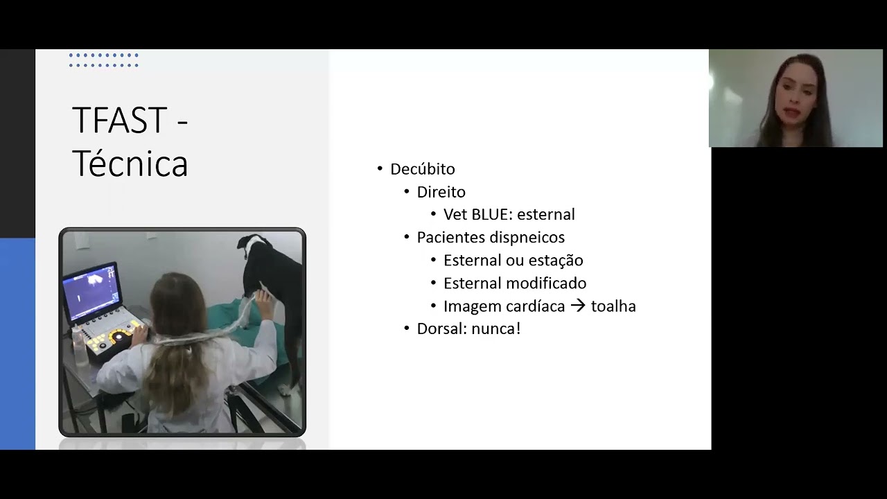 Ultrassonografia pulmonar (TFAST e VetBLUE) e sua aplicabilidade em emergências em pequenos animais