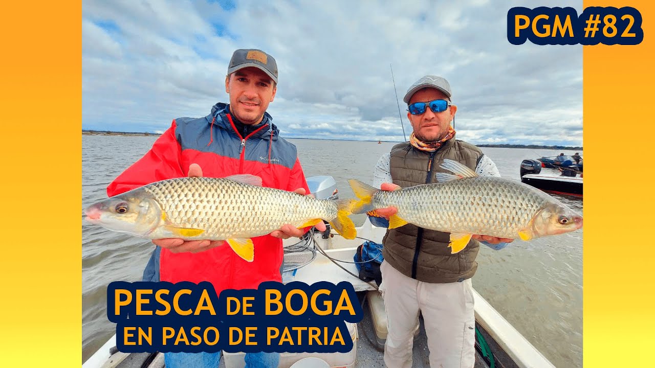 Paso de Patria, pesca de bogas