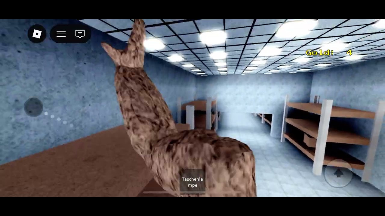 Leute ich spiele vieder ein roblox spiel mit euch 