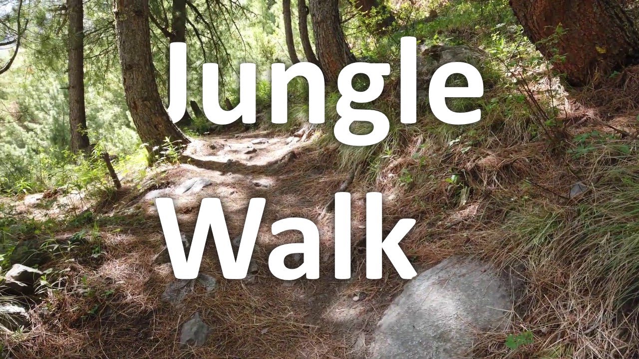 4K 🇮🇳 Himachal - Jungle Walk, Chitkul - India walking tour