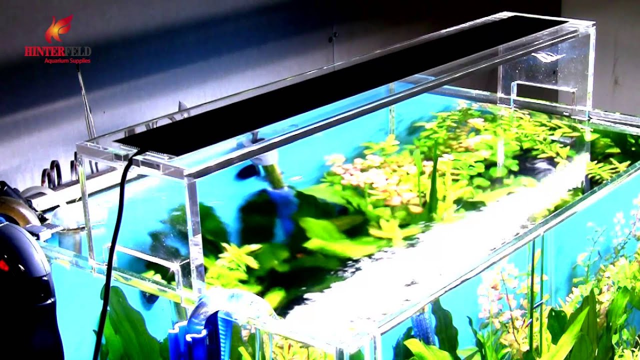 Hinterfeld HK Chihiros Aquasky Planted Aquarium High Output LED White Lamp Light