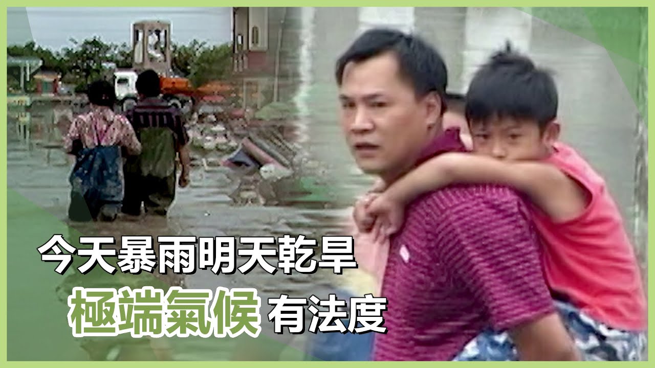 慈悲的智慧｜鄭秋成｜慈濟60｜慈濟充滿愛｜20260203