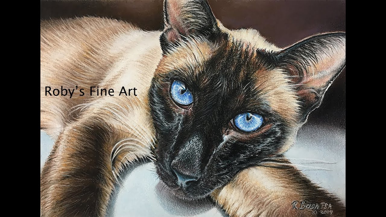 Siamese Cat Pastel Demonstration by Roby Baer PSA