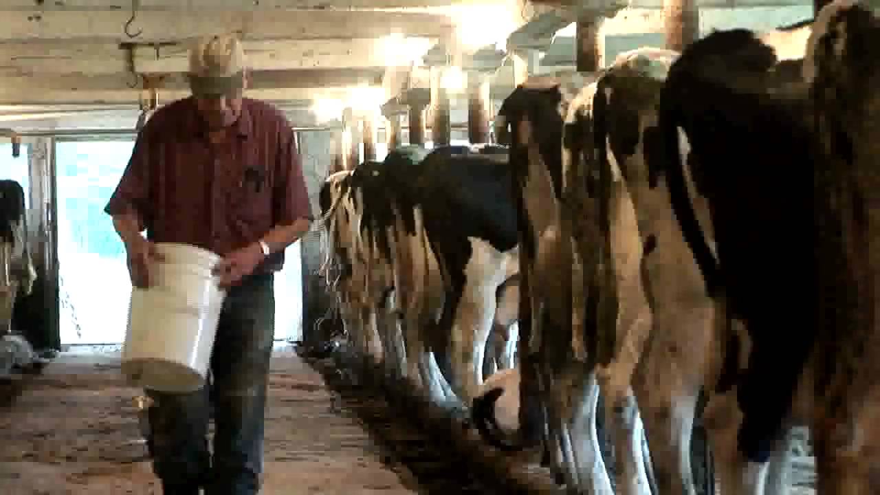 Vermont Land Trust: Helping Farm Businesses Grow