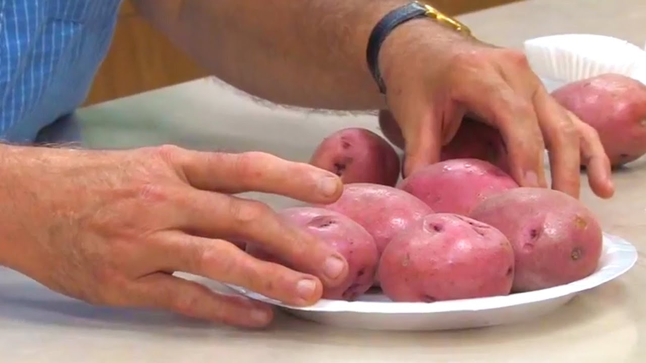 Preparing Potatoes for Exhibition